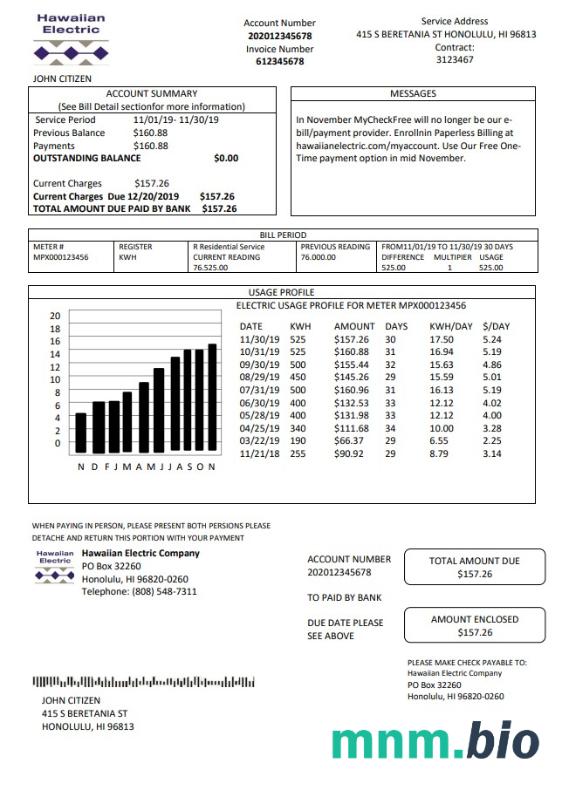 USA Hawaiian Electric rachunek za media szablon w formacie Word i PDF